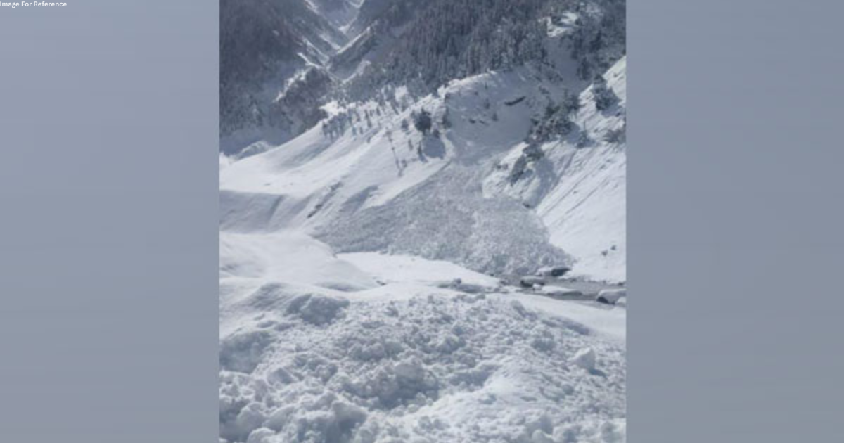 Avalanche: Army launches rescue operation near Zoji La